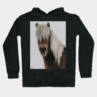 Mountain Horse Hoodie